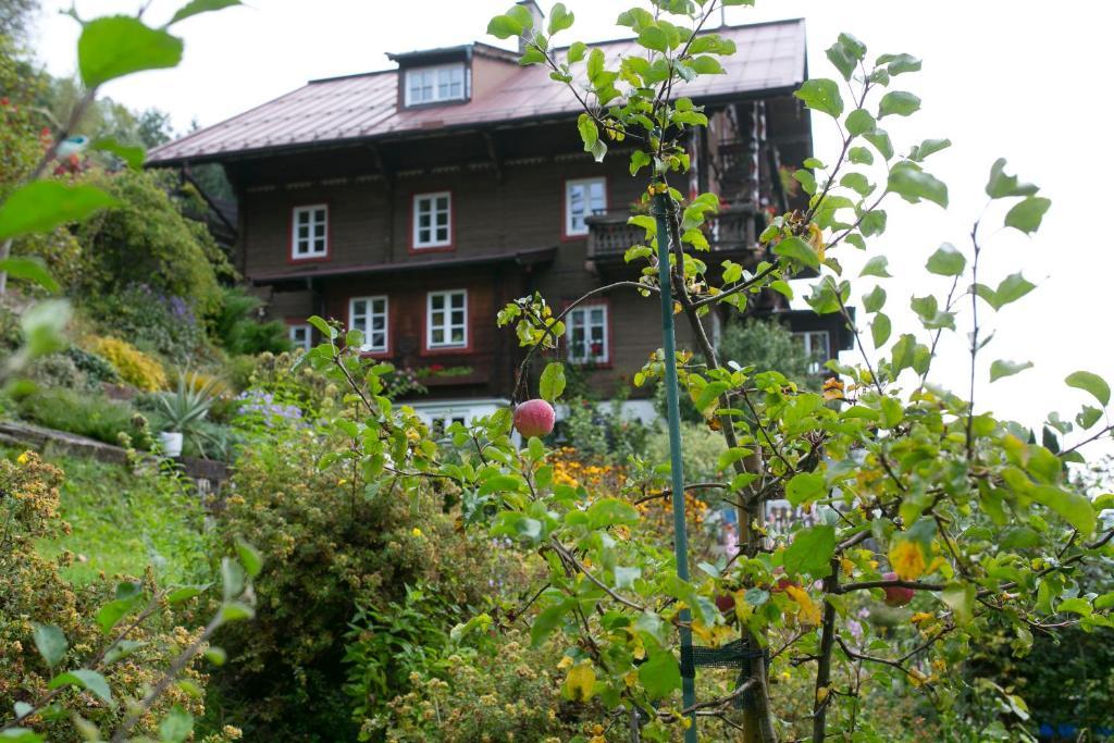 Landhaus Alpina Guest House Mittersill Exterior foto